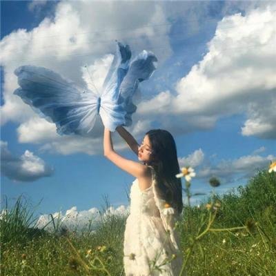 可可西里 在线观看