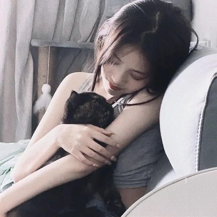 心链 在线观看